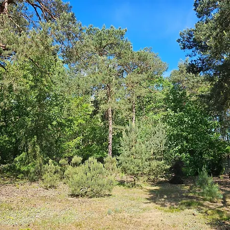 Villa Siedlisko Annopol *